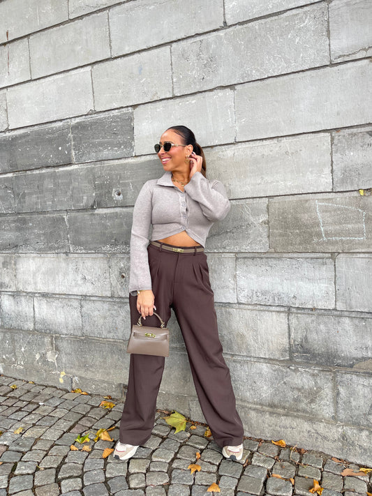 My Precious Fall Taupe Top