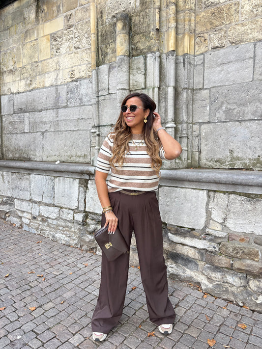 Stripes In Brown Short