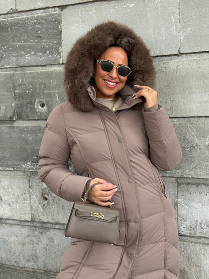 Winter Days Taupe