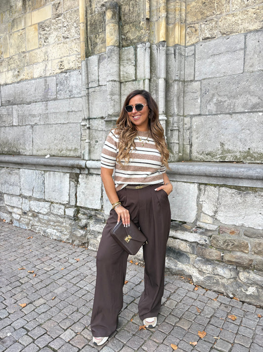 Stripes In Brown Short
