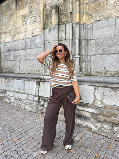 Stripes In Brown Short